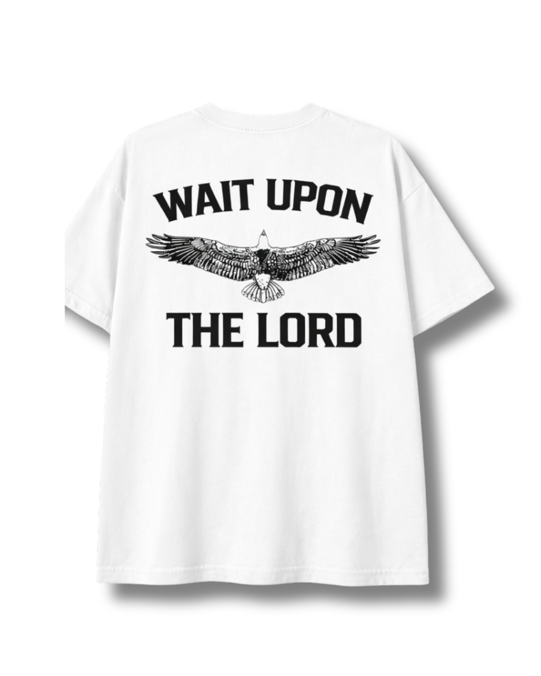 Eagles Wings - Men's Classic Oversized Tee