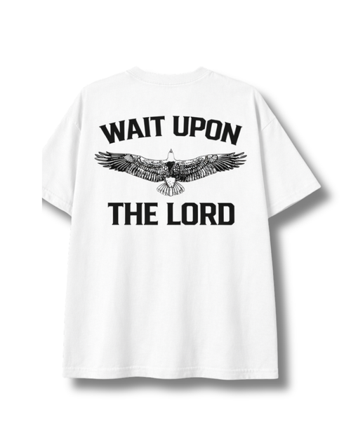 Eagles Wings - Men's Classic Oversized Tee